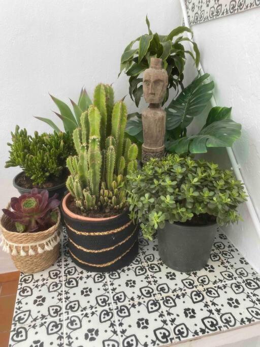Apartment Palmas In Old Town *